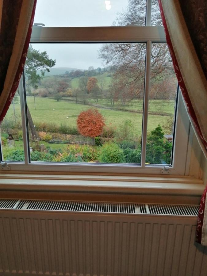 Lion Hotel Llanbister Bagian luar foto